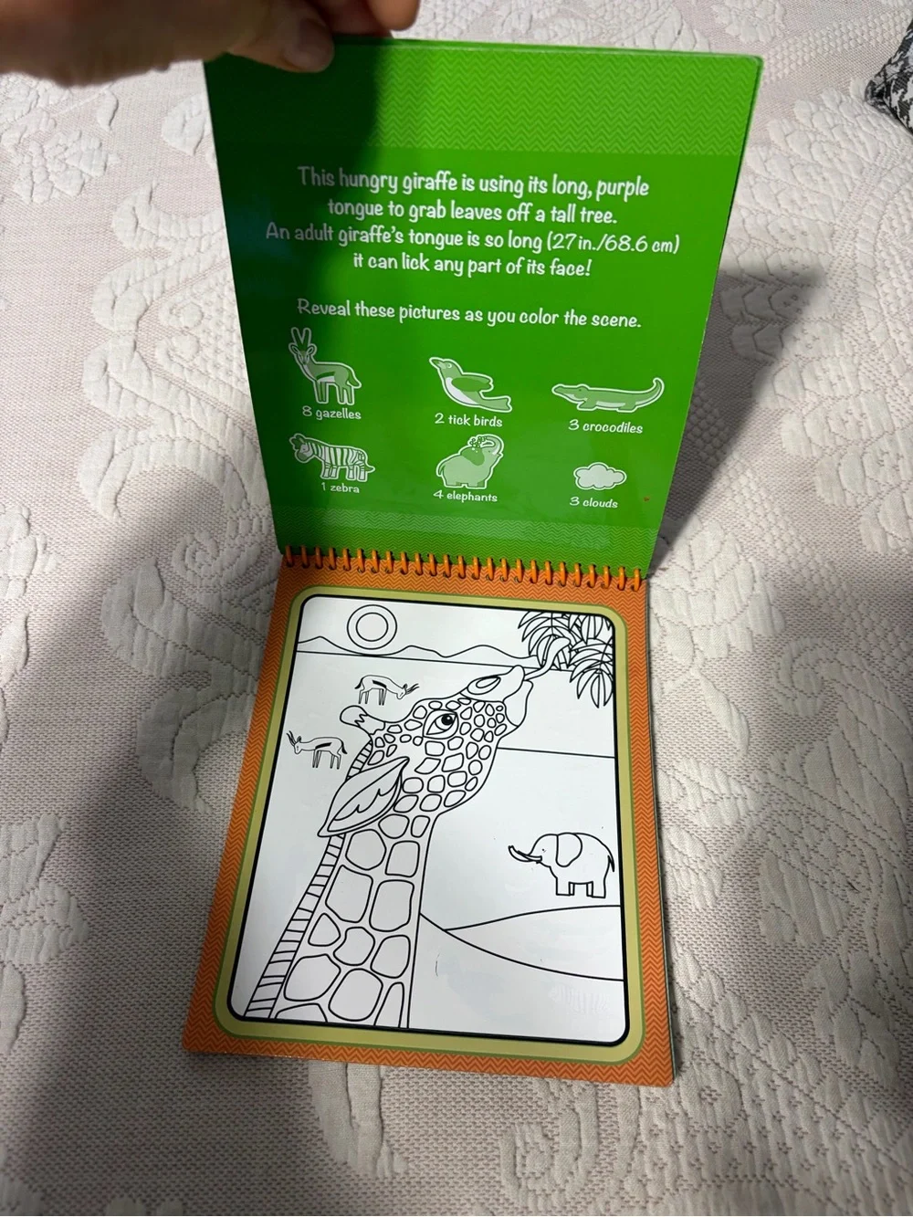 Melissa & Doug Water WOW! Reusable Water-Reveal Pads - Green, Blue, Orange